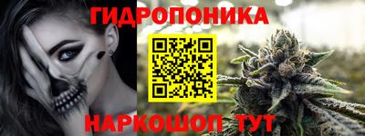 стаф Бузулук
