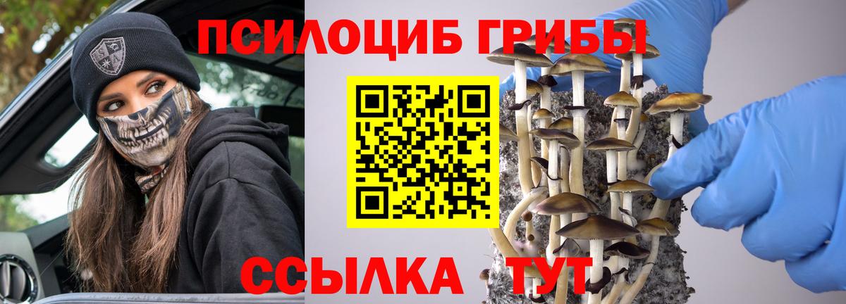 Псилоцибиновые грибы GOLDEN TEACHER  как найти закладки  Вход с VPN  Партизанск  Галлюциногенные грибы MAGIC MUSHROOMS 